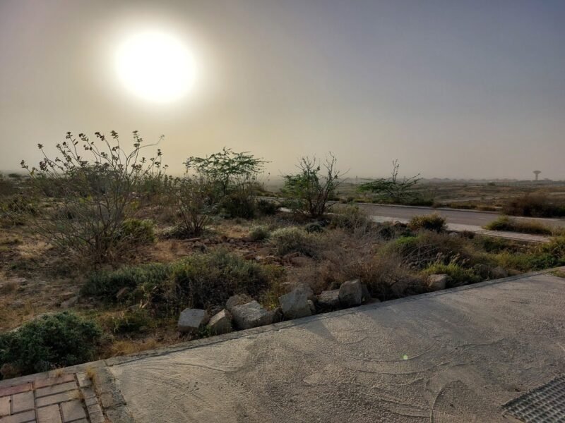 125 Yards Plot for Sale – Sector 3C DHA City Karachi
